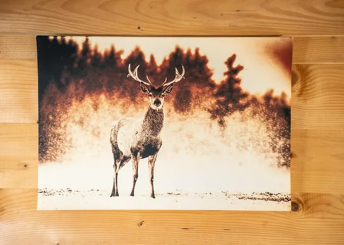 Montana 1 - 4 Personnes *